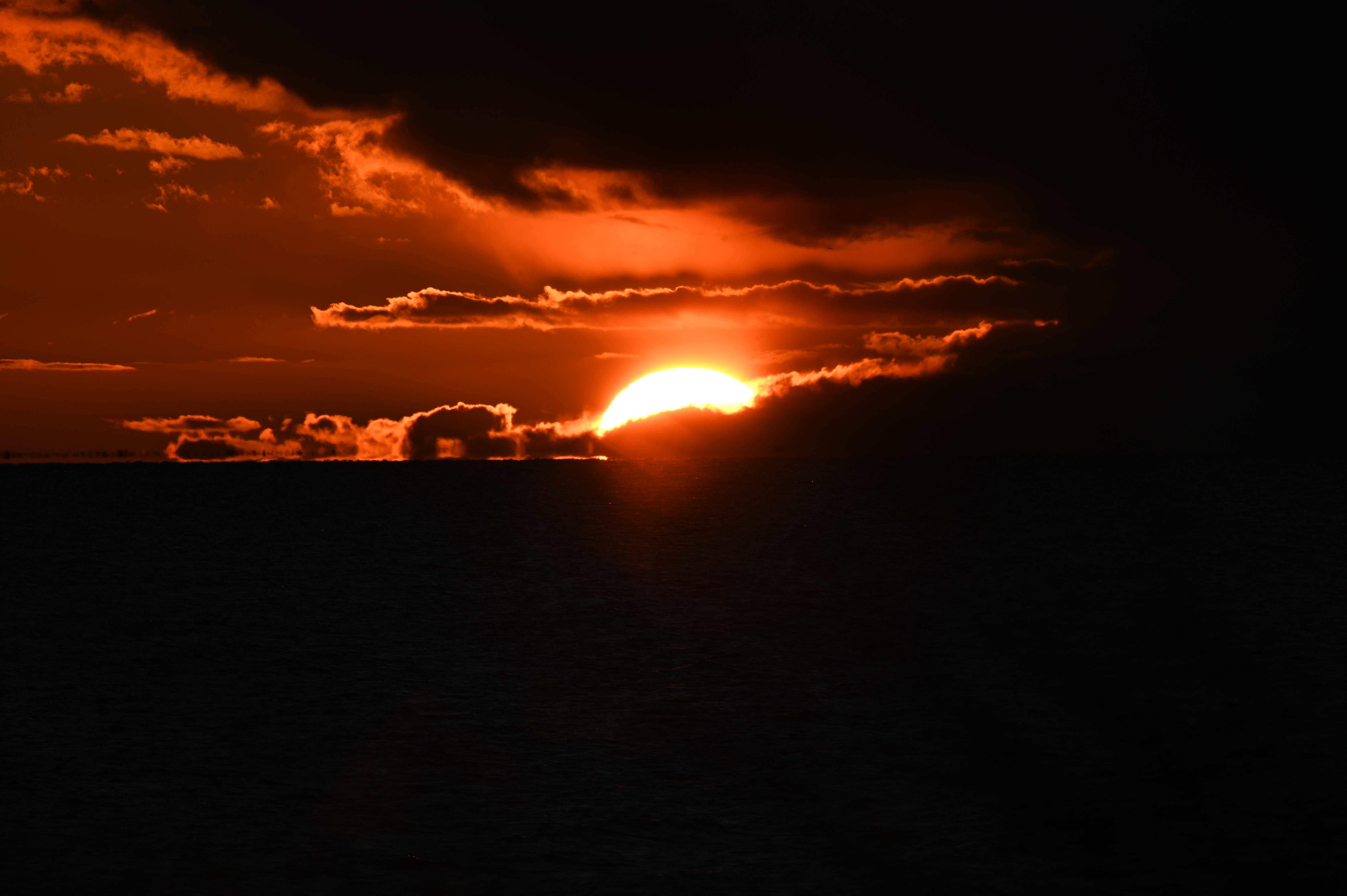 2025/10/18 - walk/DSC_0488.JPG